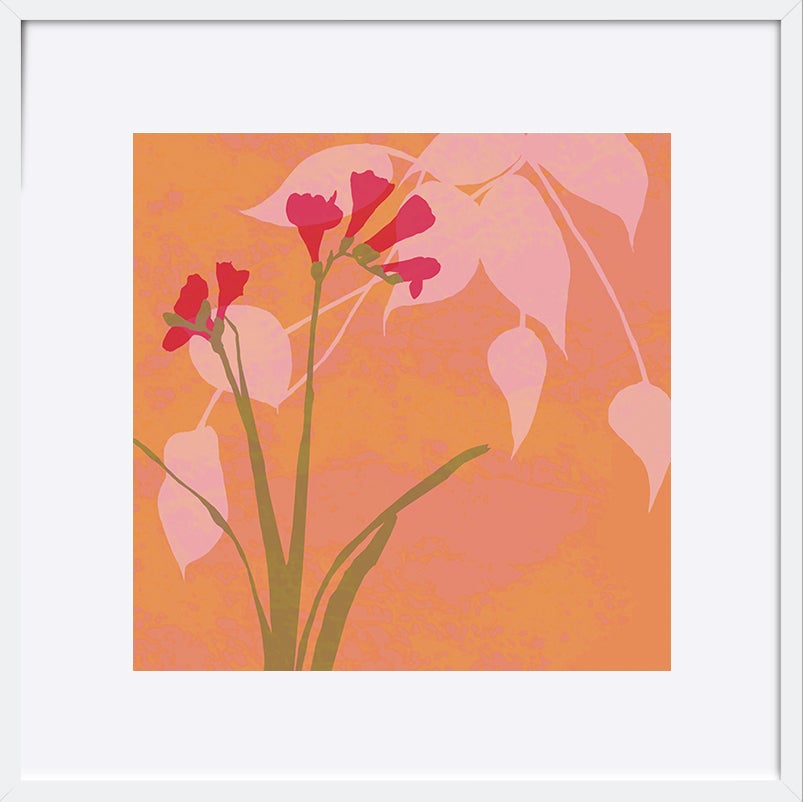 paper_frame