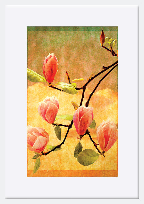 paper_frame