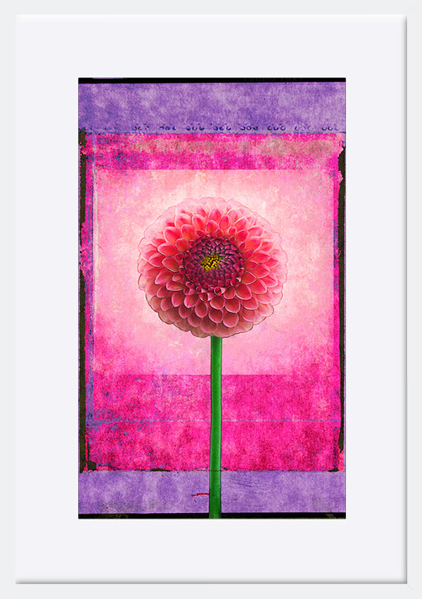 paper_frame