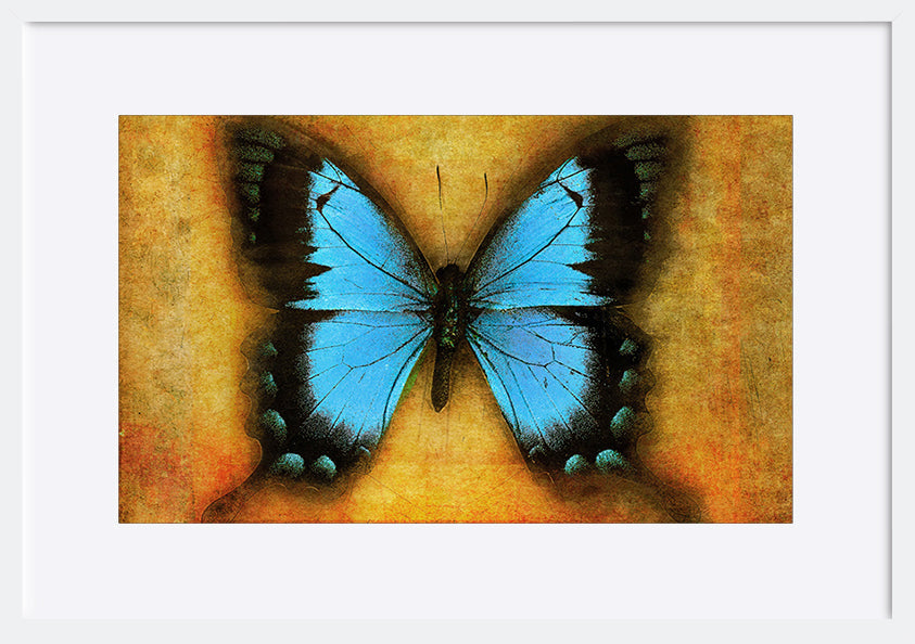 paper_frame