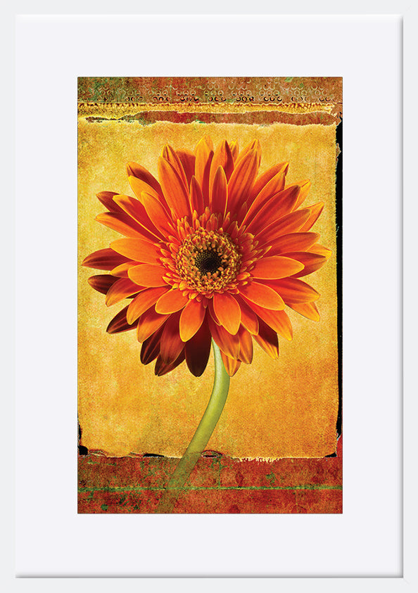 paper_frame