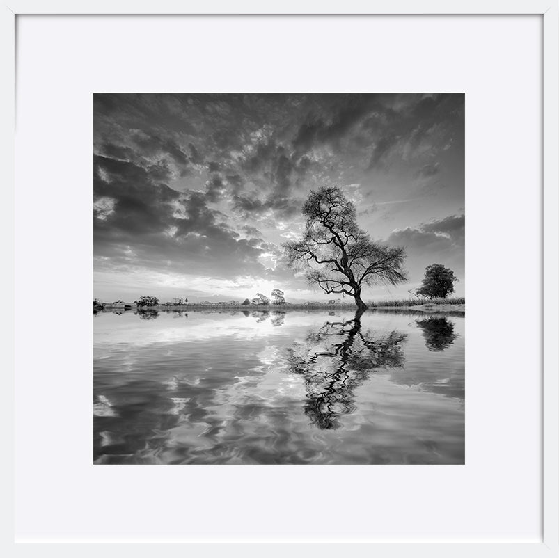 paper_frame