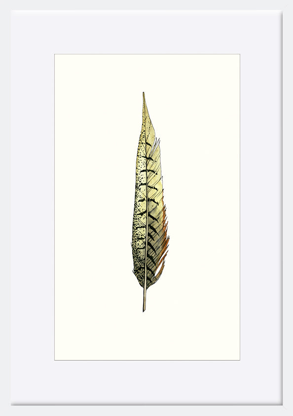 paper_frame