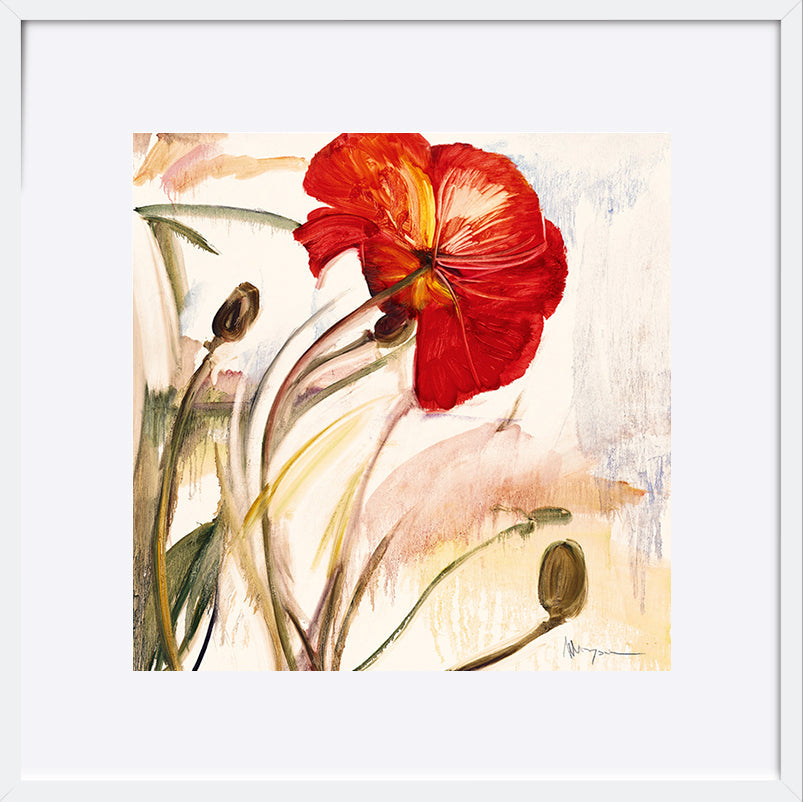 paper_frame