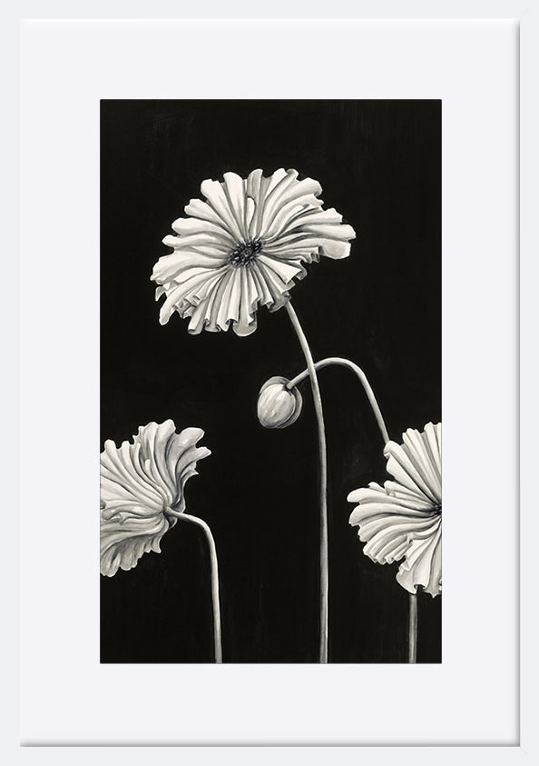 paper_frame