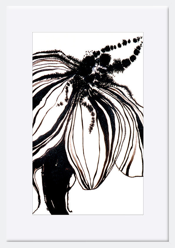 paper_frame