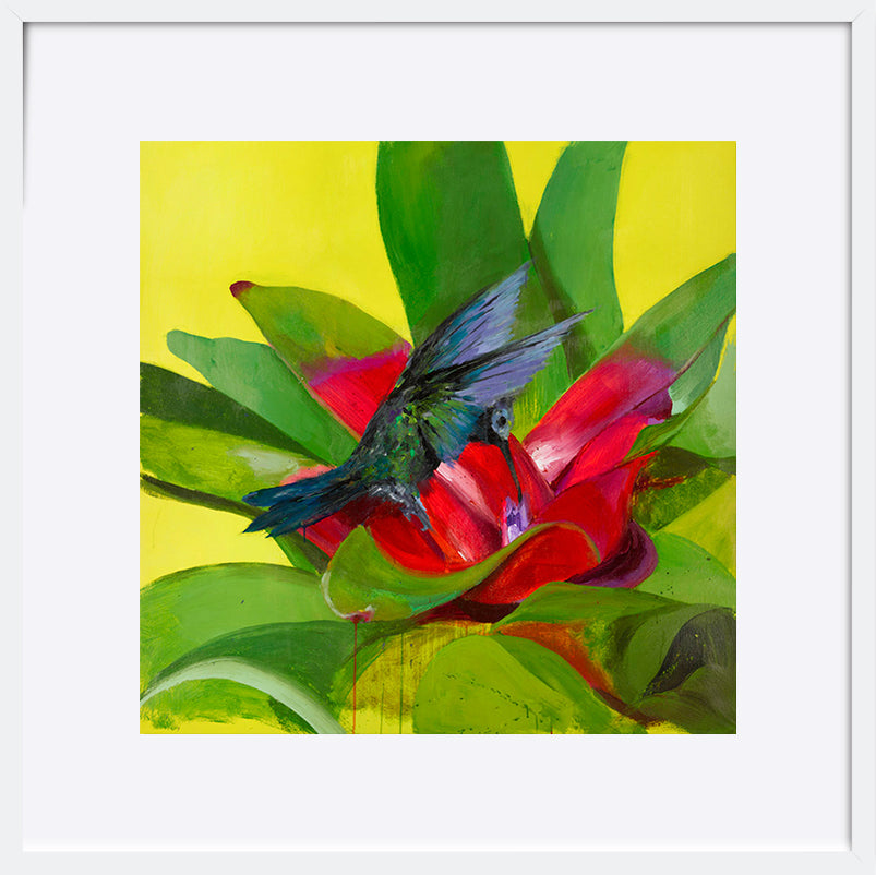 paper_frame