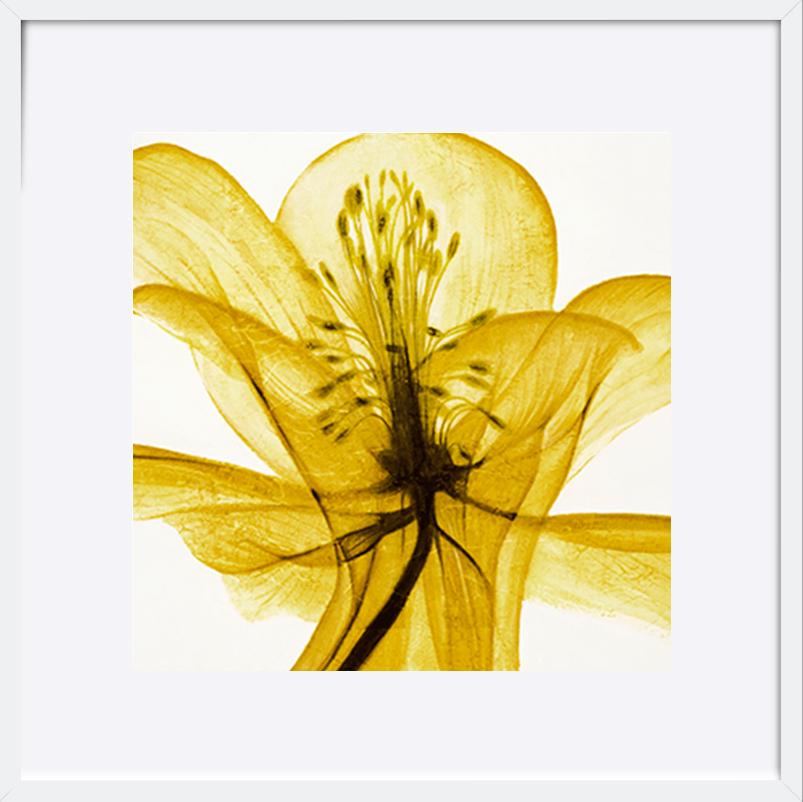 paper_frame