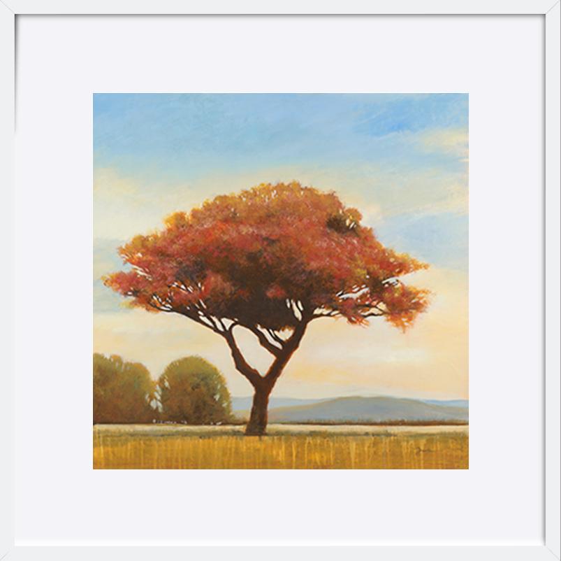 paper_frame