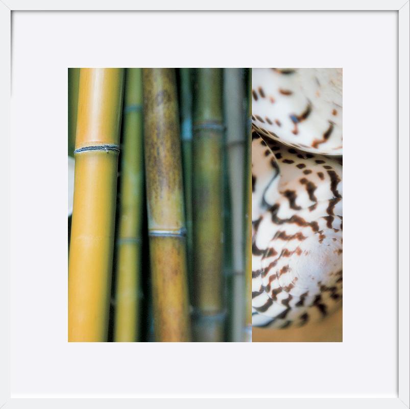 paper_frame
