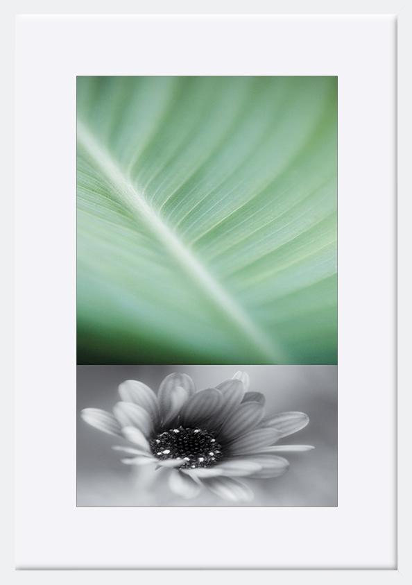 paper_frame