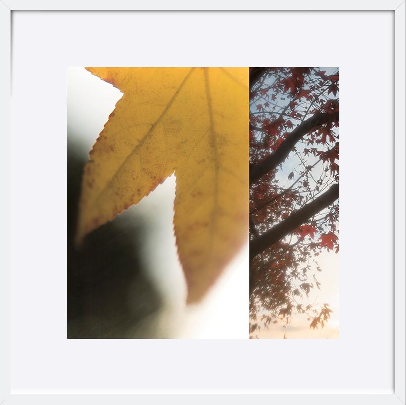 paper_frame