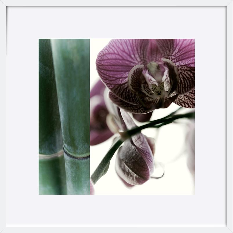 paper_frame