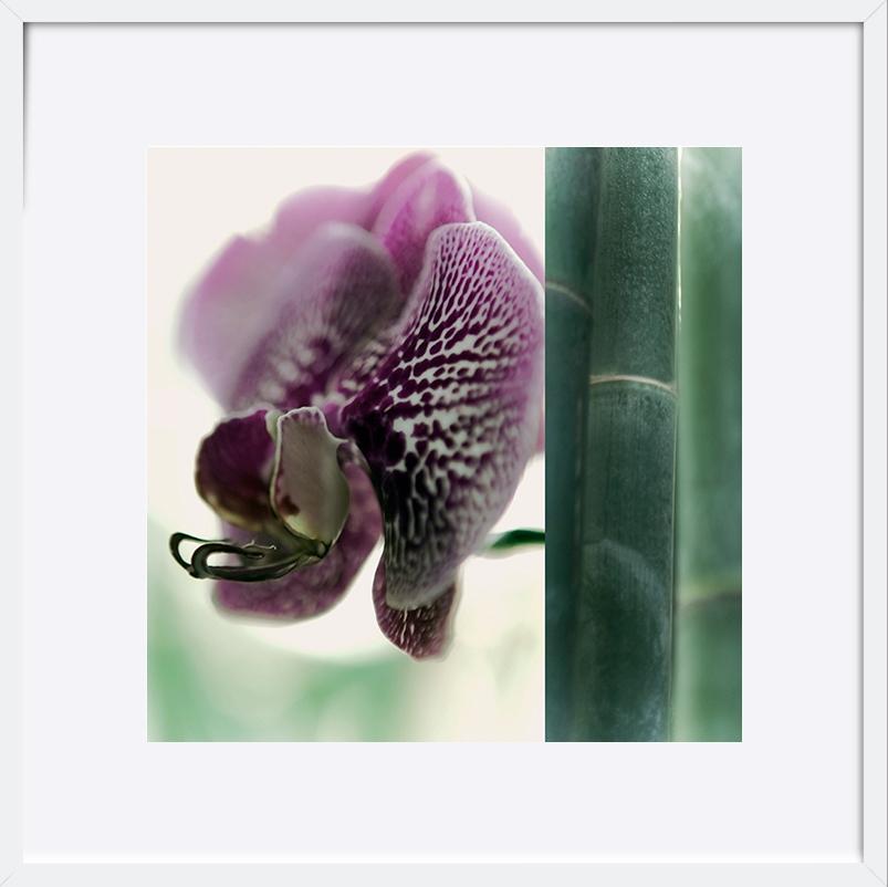 paper_frame