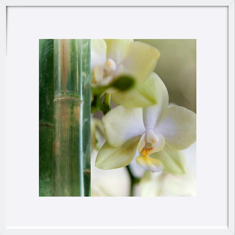 paper_frame