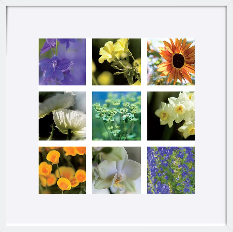paper_frame