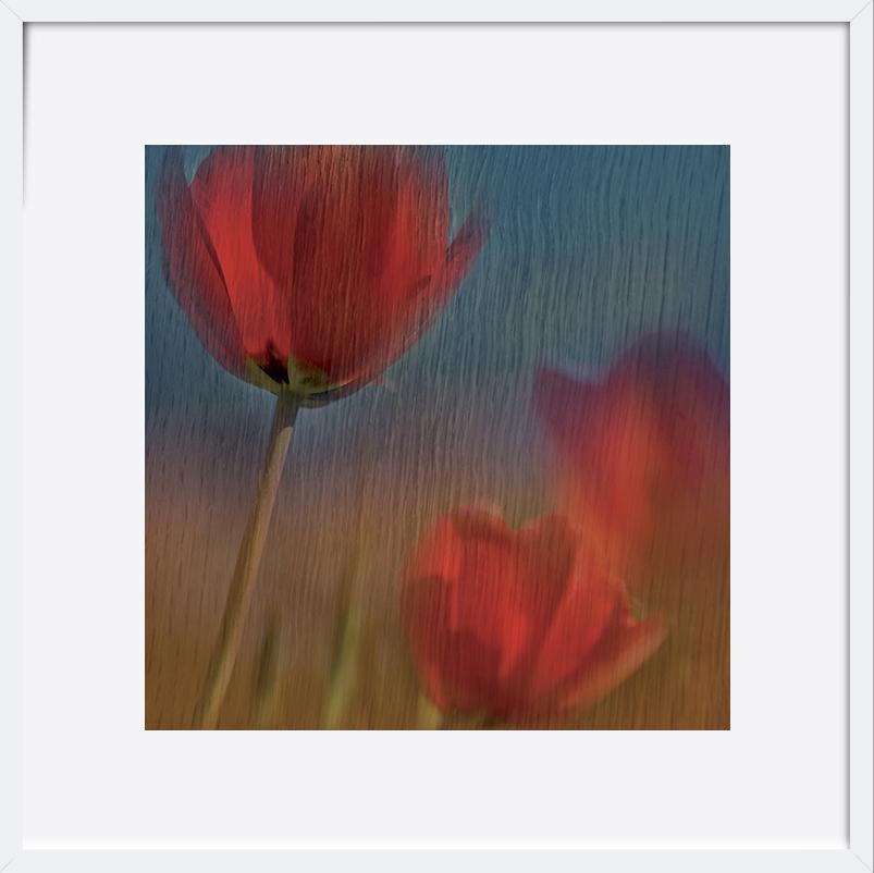 paper_frame
