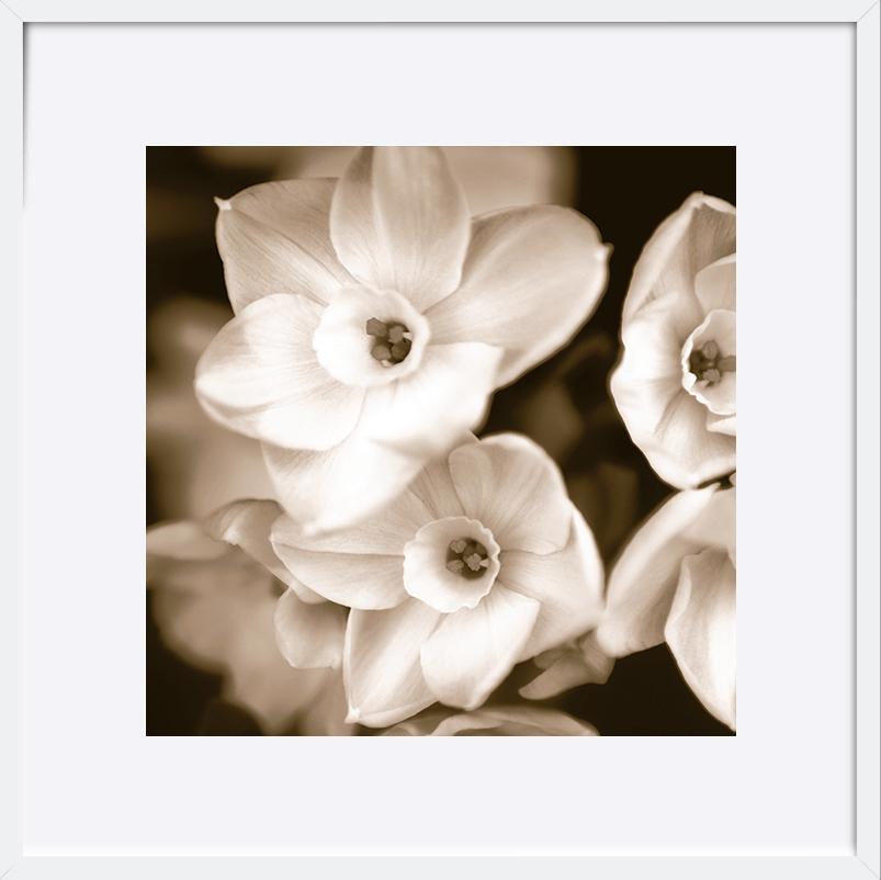 paper_frame
