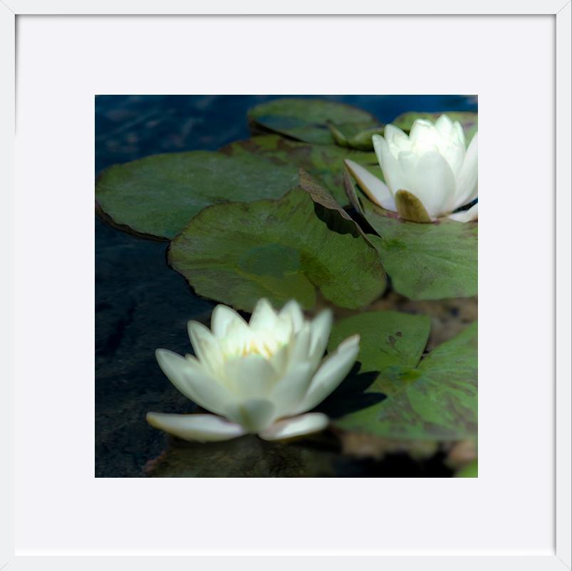paper_frame