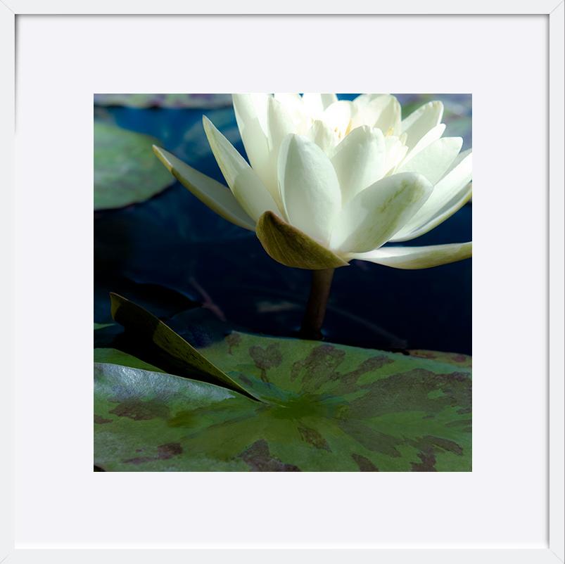 paper_frame