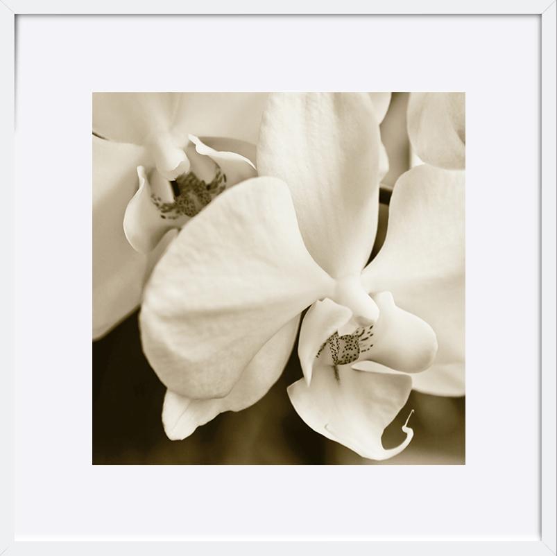paper_frame