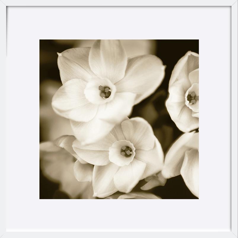 paper_frame