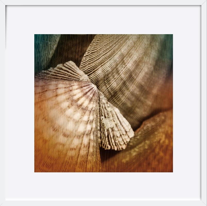 paper_frame