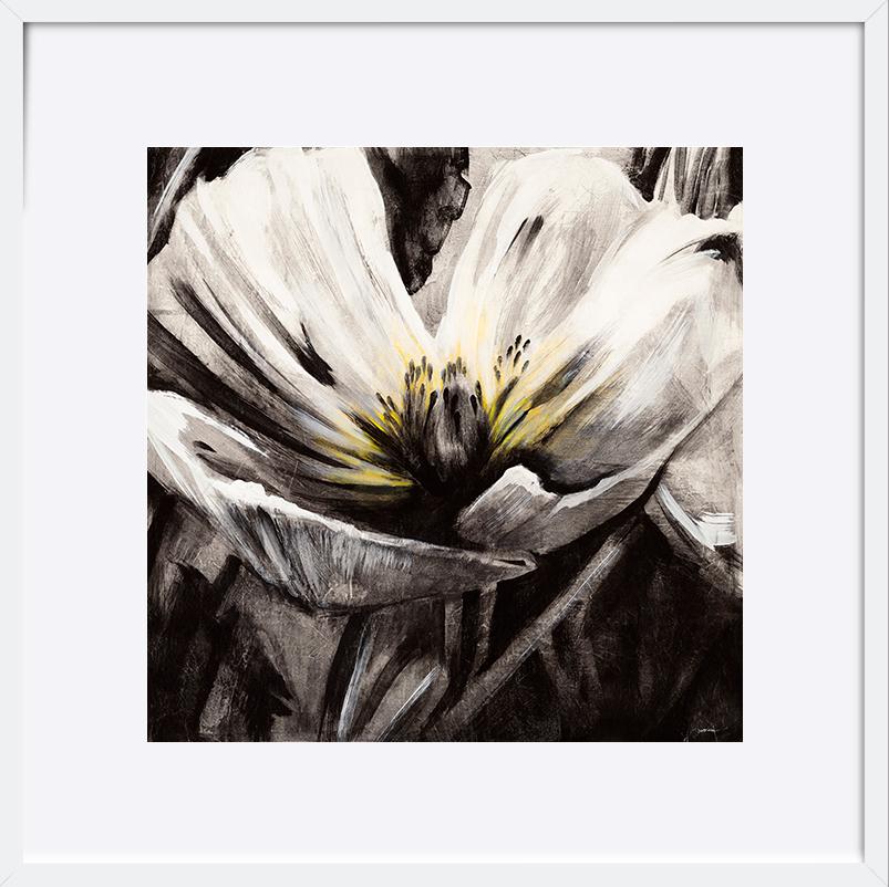 paper_frame