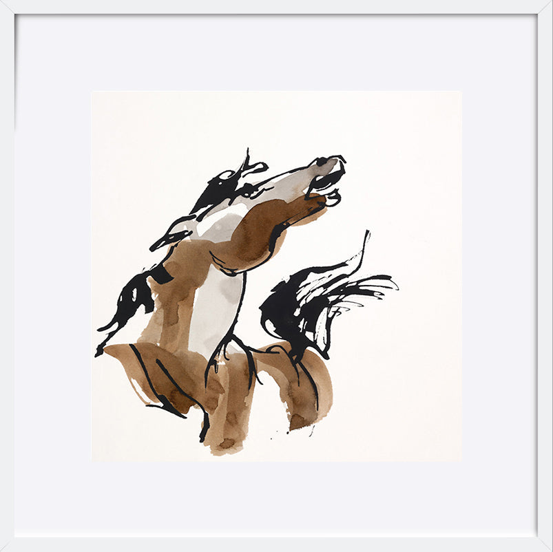 paper_frame