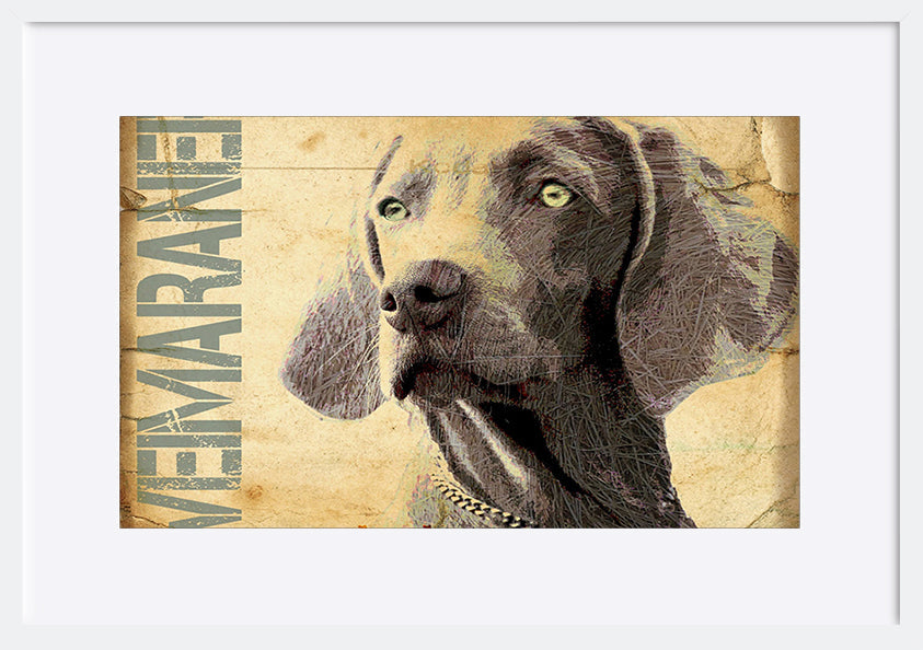 paper_frame