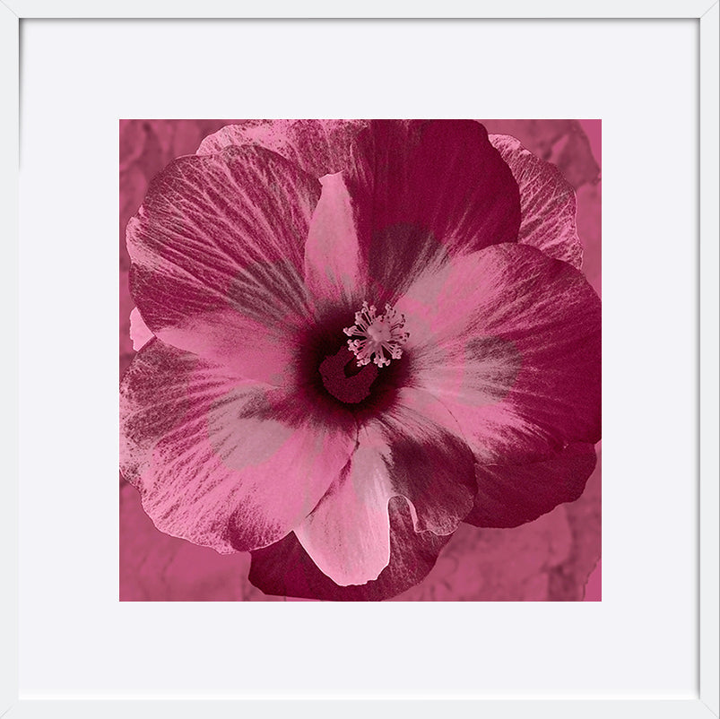 paper_frame