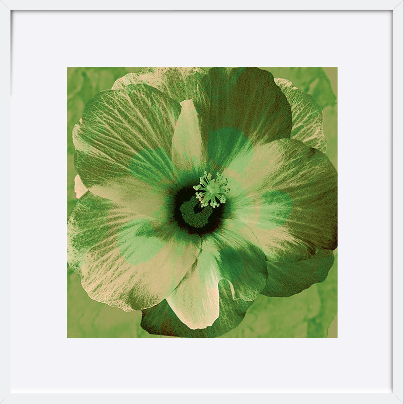 paper_frame