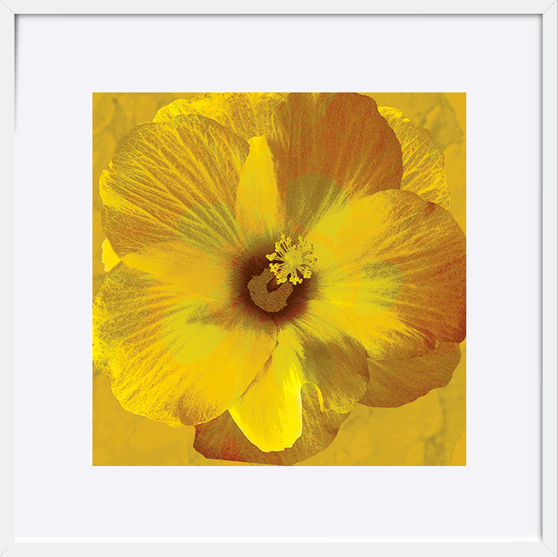 paper_frame