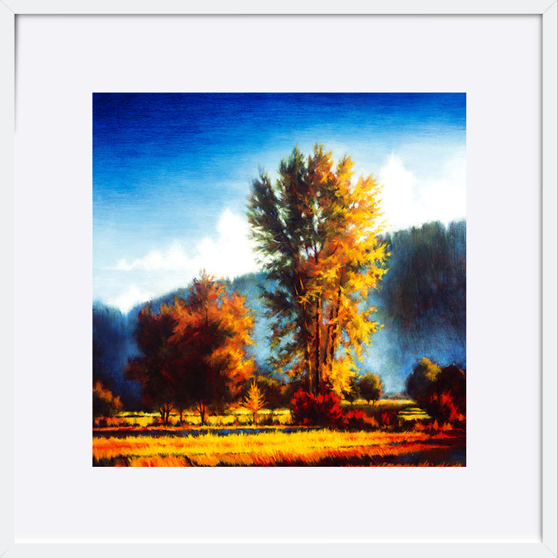 paper_frame