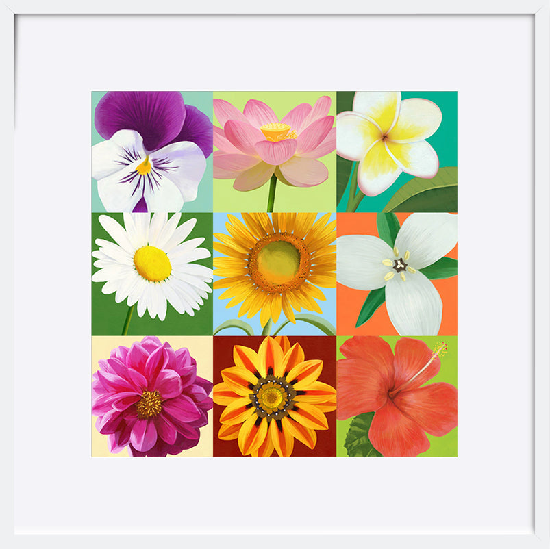 paper_frame