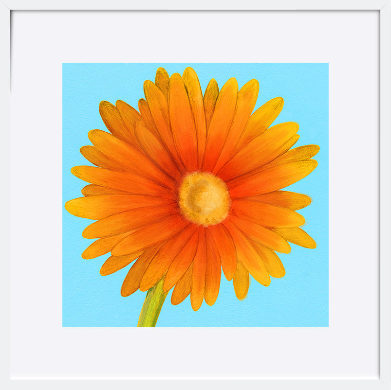 paper_frame
