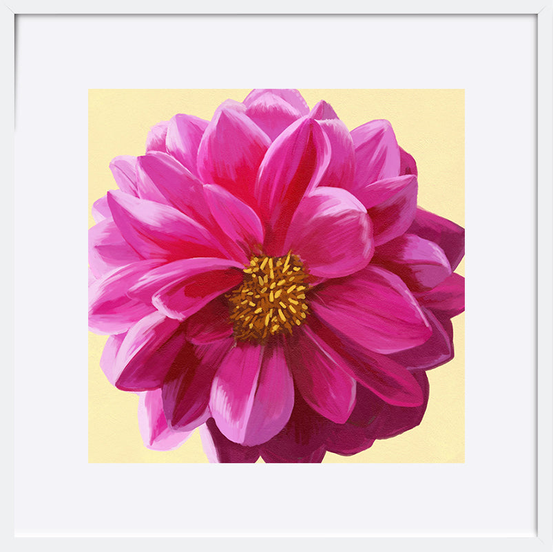 paper_frame