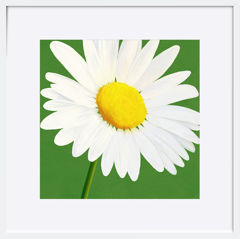 paper_frame