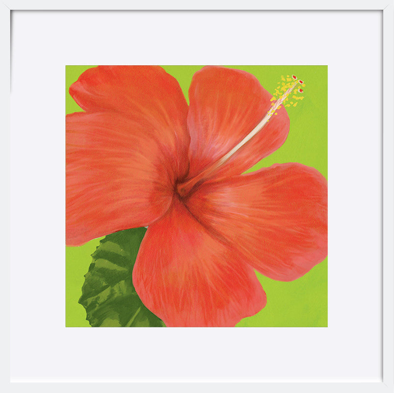 paper_frame
