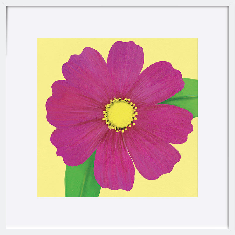 paper_frame