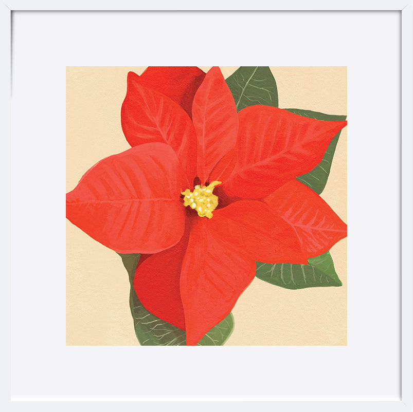 paper_frame