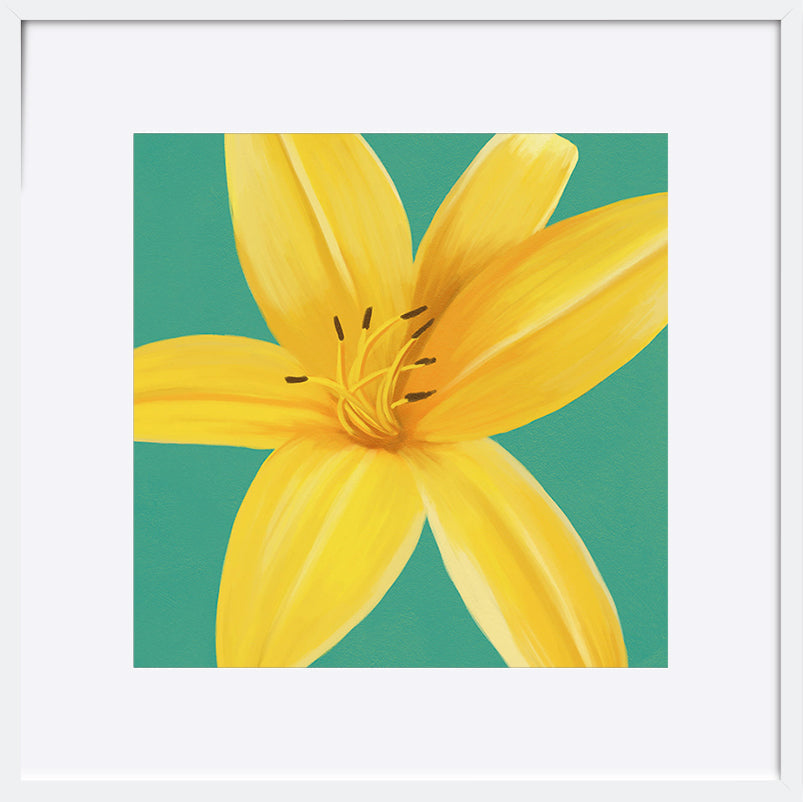 paper_frame