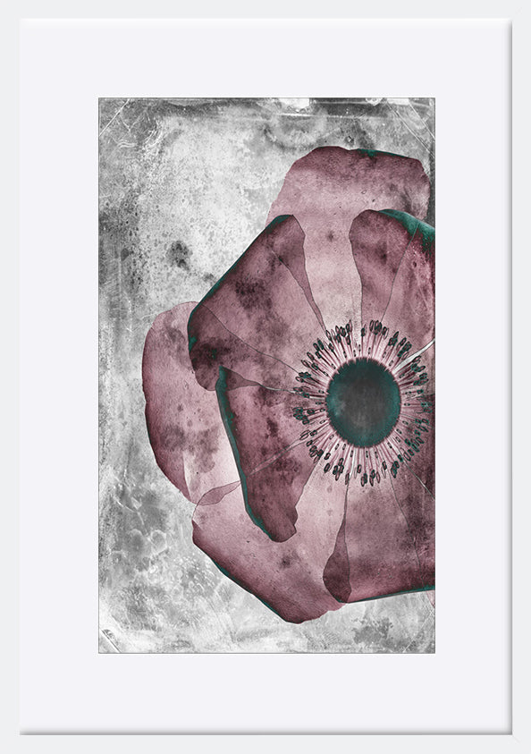 paper_frame