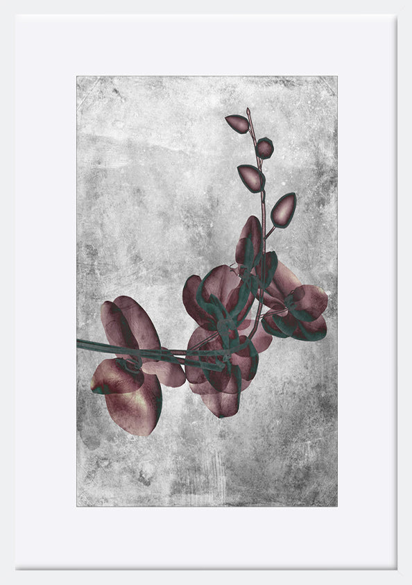 paper_frame