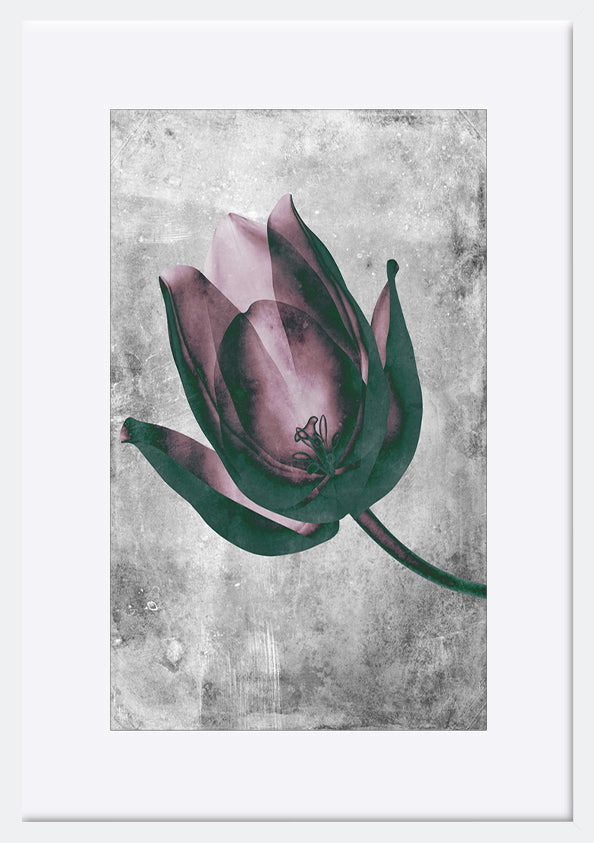 paper_frame