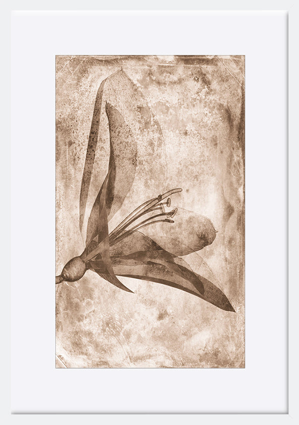 paper_frame