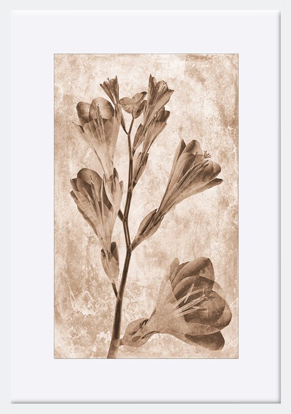 paper_frame