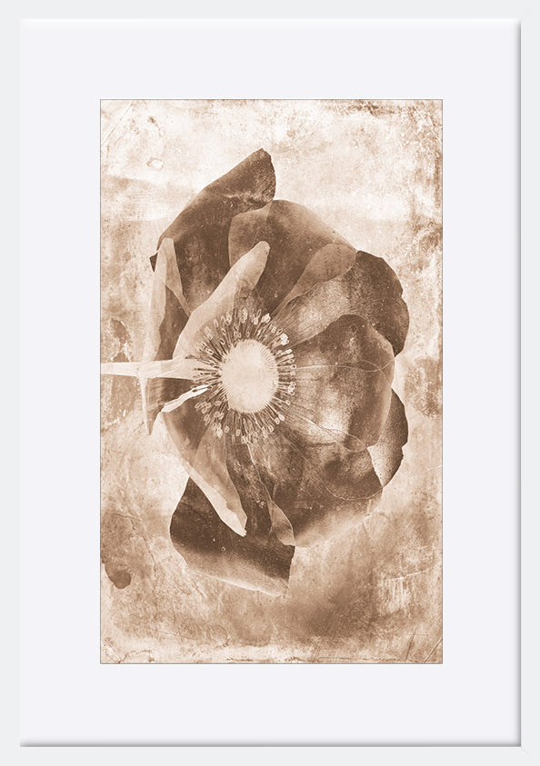 paper_frame