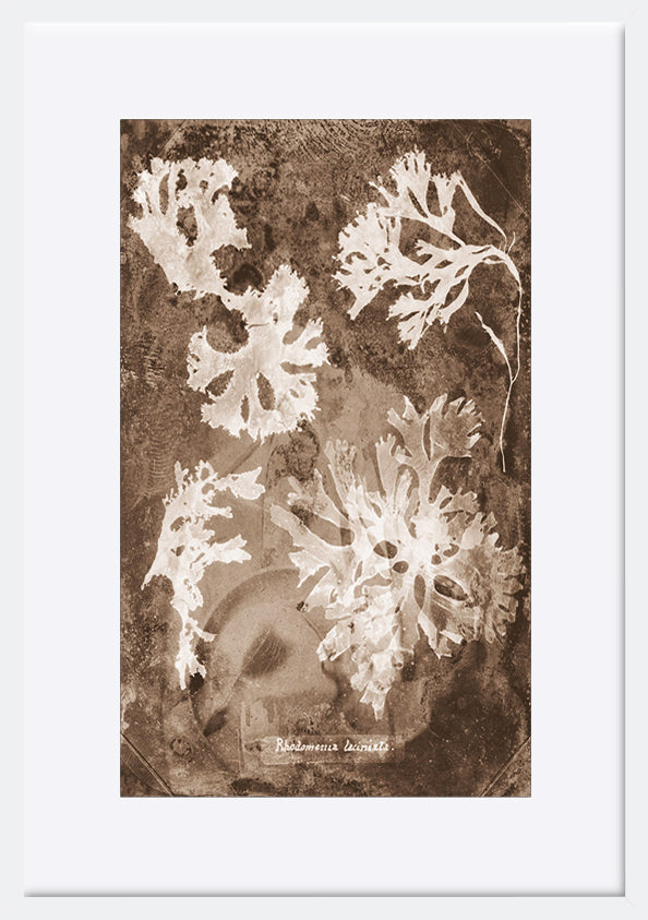 paper_frame