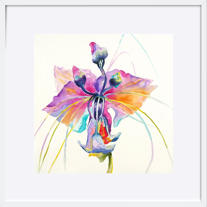paper_frame